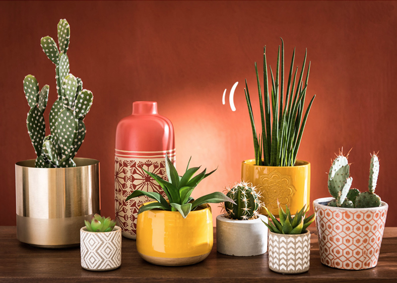 collection-hacienda-maisonsdumonde-5